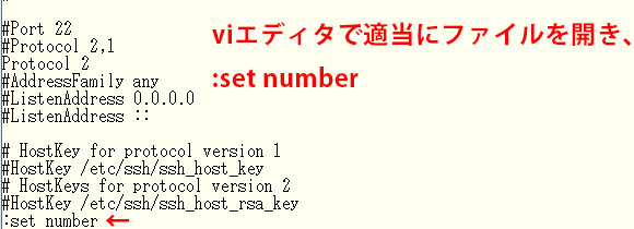 viエディタで行番号を表示する